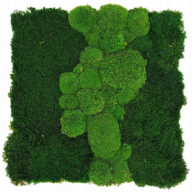 Panel z plochého a polštářového mechu Zelená Stěna z mechu 50x50 cm Mech