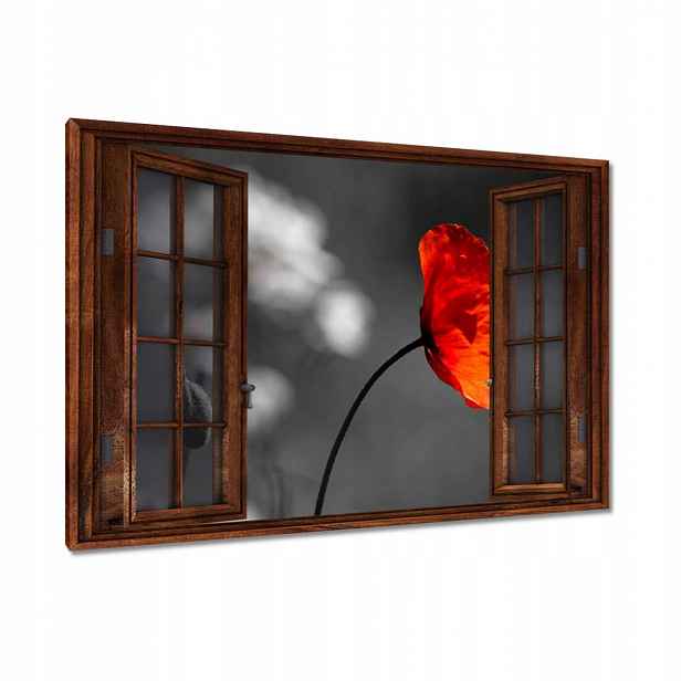 Obrazy 120x80 Rozkvetlý červený mák