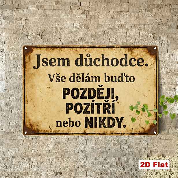 TEMU 2D plochá, 2D plochá 1ks Vintage česká kovová cedule, 7.87X11.81 palců železná cedule, zábavný citát " v důchodu, odložím všechno do zítřka