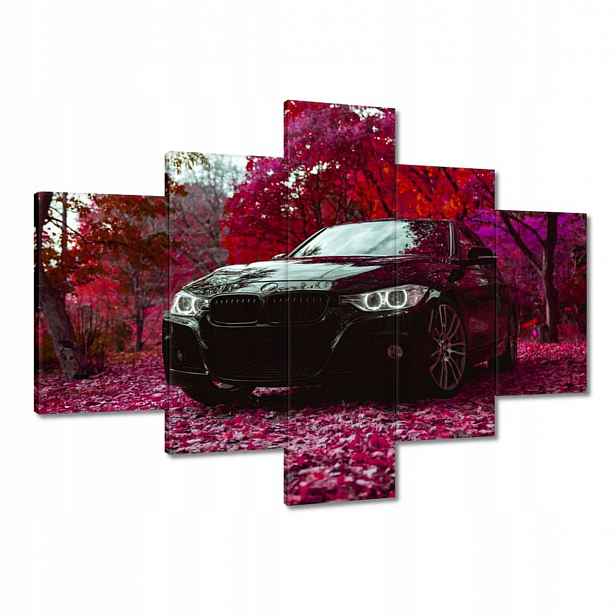 Obrazy 100x70 Černé Bmw Podzim