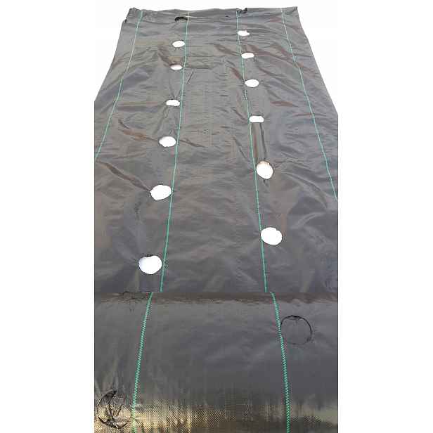 Agrotextilie s otvory pro Jahody 80 cm x 20 m