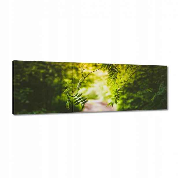 Obrazy 150x50 Zelené listy Listy