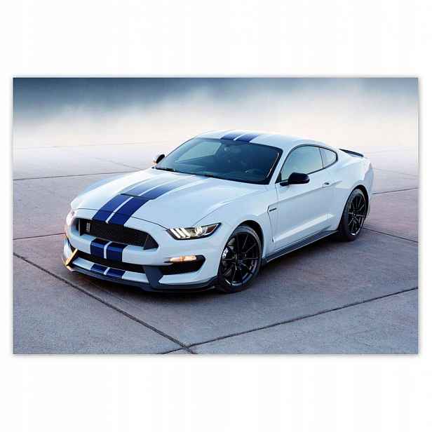 Fototapety 152x104 Ford Mustang Shelby