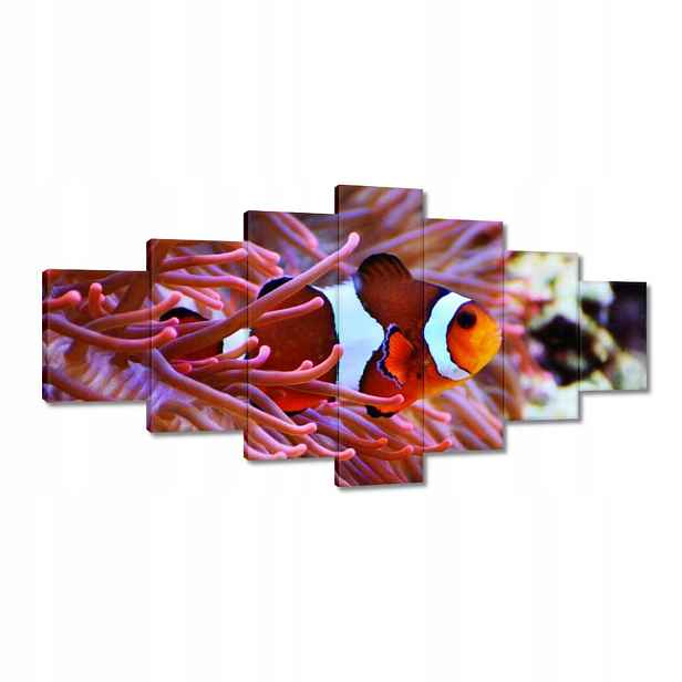 Obrazy 210x100 Oranžová rybka Rafa