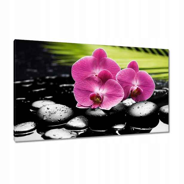 Obrazy 120x70 Spa Kameny a oleandry