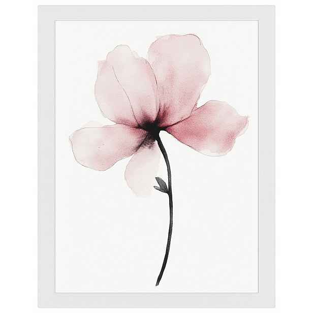 Plakát Rámeček Dřevo Akvarel Příroda Zahrada Květ Růžová Magnolie 60x80