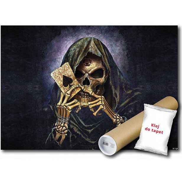 Fototapeta Skelet Karty 21A F3XL 416x254 F979