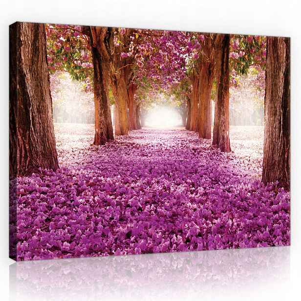 Obraz Na Plátně Canvas 80x60 Park Květiny Aleja