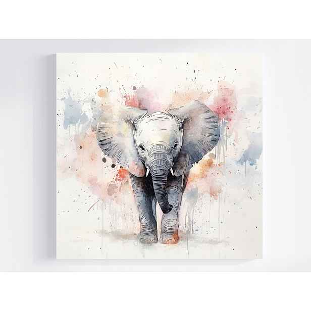 Obraz Na Plátně Canvas Akvarel Zvíře Slon Portrét Procházka Afrika 50x50