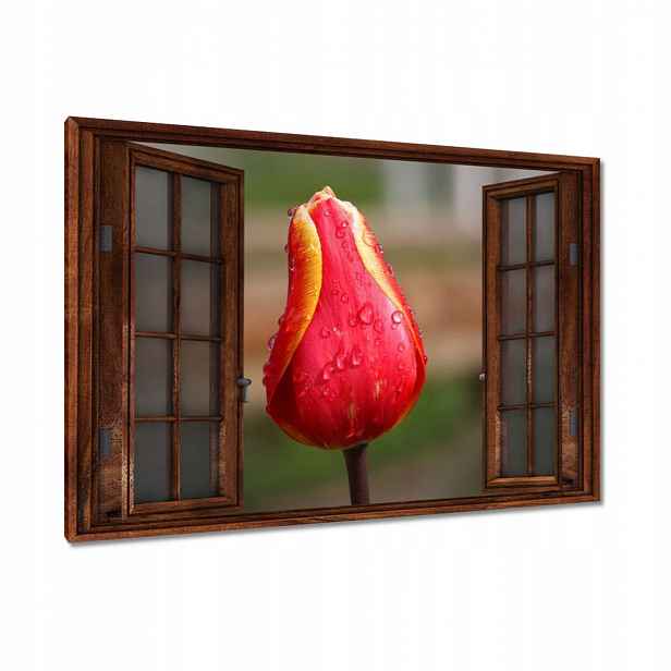 Obrazy 120x80 Červeno-žlutý tulipán