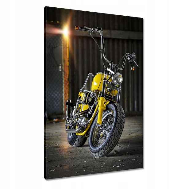 Obrazy 60x90 Harley Davidson