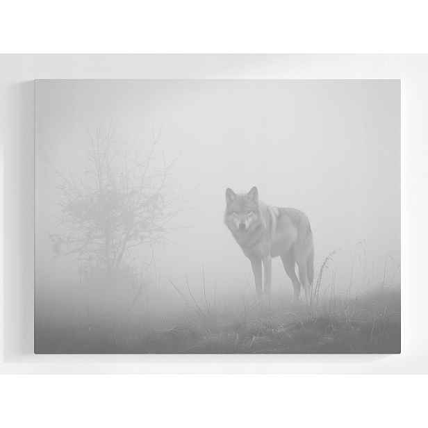 Plakát Příroda Vlk Mlha Dravec Šedá Příroda 100x75