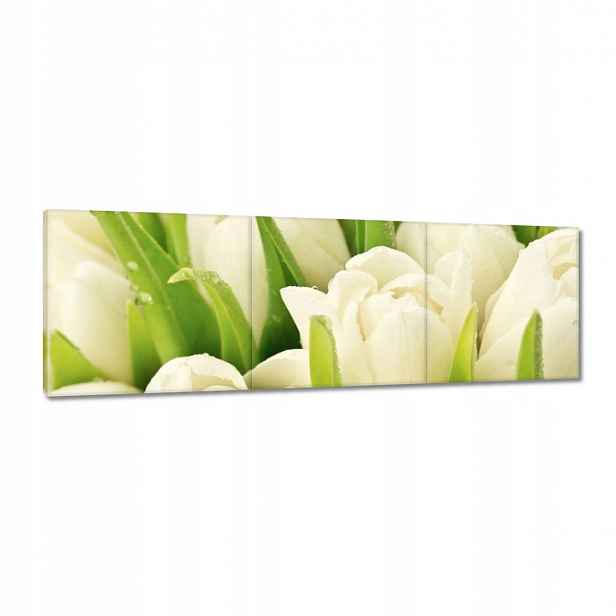 Obrazy 120x40 Jemné tulipány