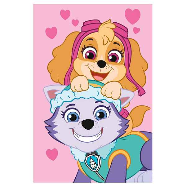 Fleecová dětská deka 100x150 cm Paw Patrol – Jerry Fabrics