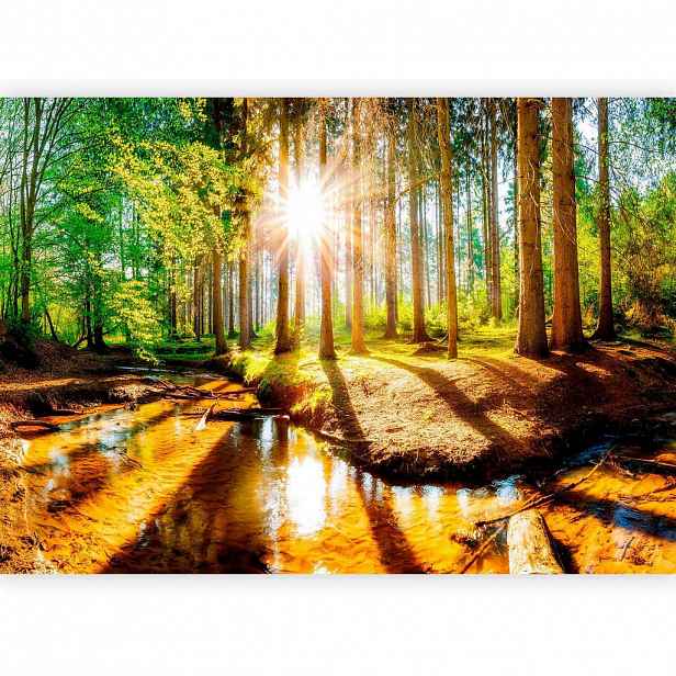 artgeist FOTOTAPETA velikost: 300/210 cm