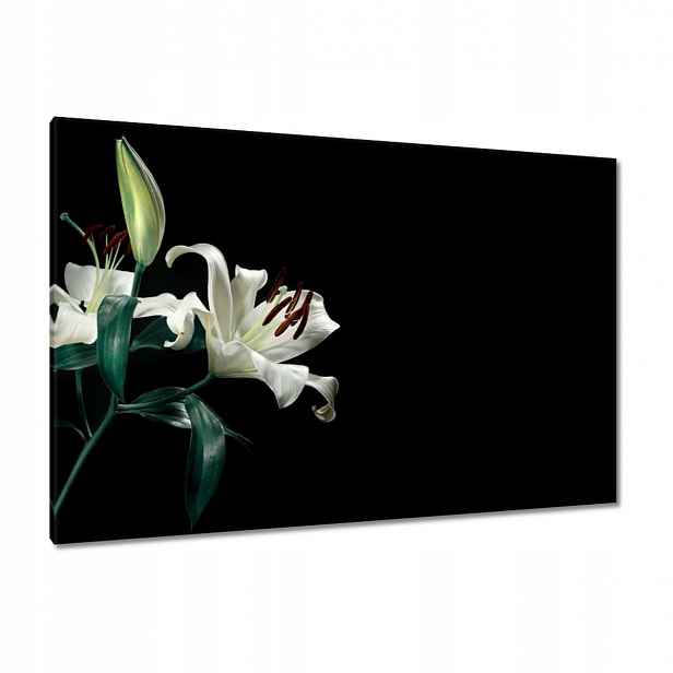 Obrazy 120x80 Krásná bílá lilie