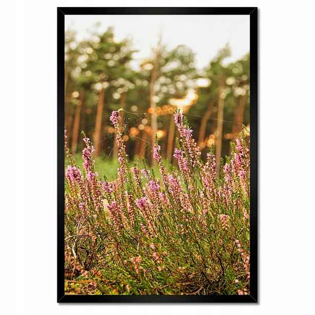 Plakáty v rámu 40x60 Vřes opletený pavučinou