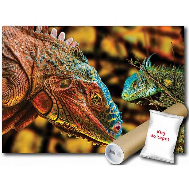 Fototapeta Legendární Varan 12C F2XL 312x219 F10568