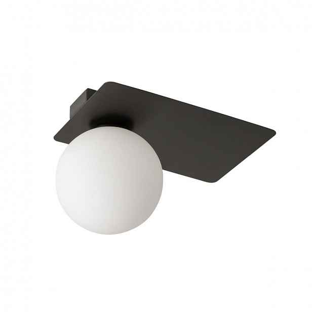Stropní nástěnné svítidlo Argon Černá Ocel 1xG9 Kompaktní Sigma Lighting