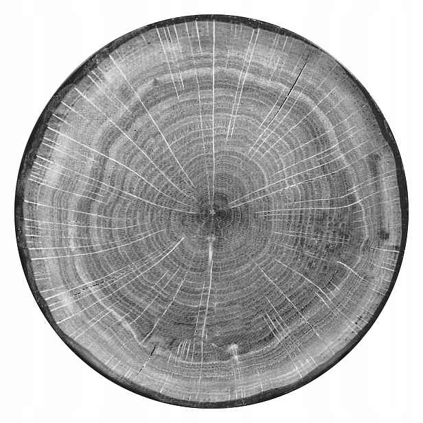 Talíř plochý šedý 29 cm Woodart Rak Porcelain