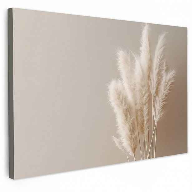 MuchoWow OBRAZ NA PLÁTNĚ Pampová tráva - Plumes - Pastelová - Bílá 30x20 cm