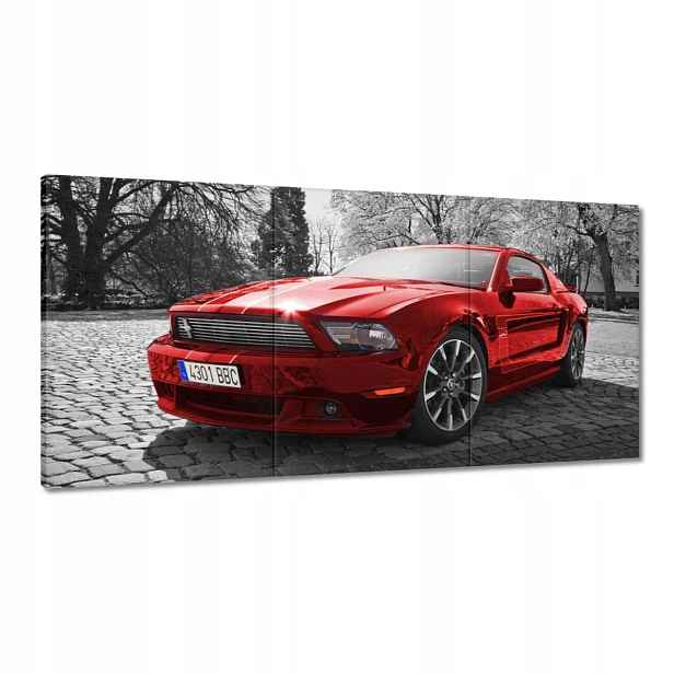Obrazy 120x60 Červený Mustang