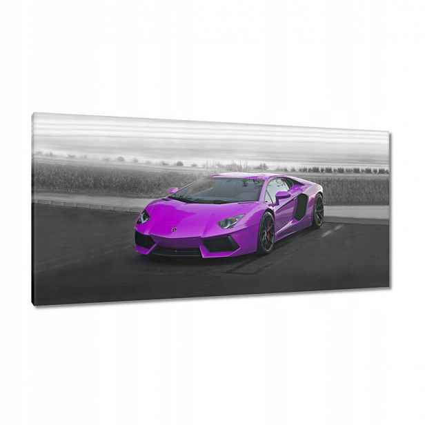 Obrazy 115x55 Růžové sportovní auto
