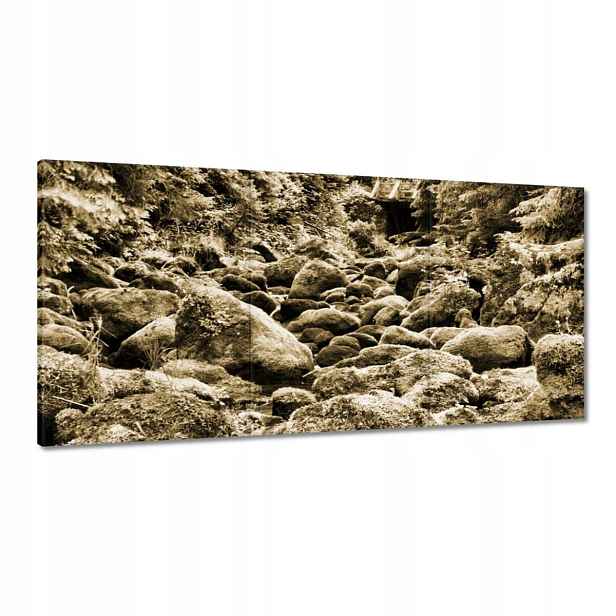 Obrazy 180x90 Tatry Polské hory Pohled