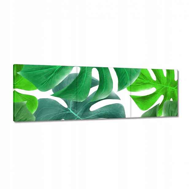 Obrazy 120x40 Listy Monstery Tropiky