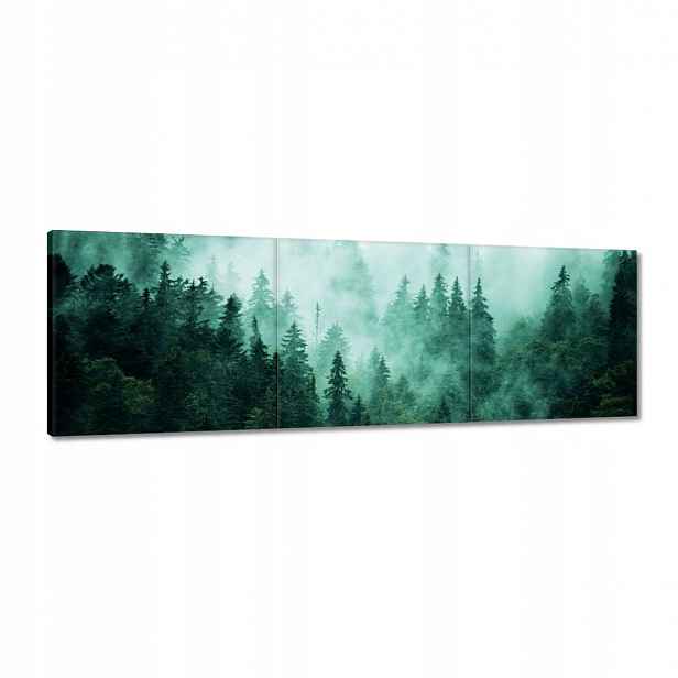 Obrazy 120x40 Les Mlha Krajina Cestování