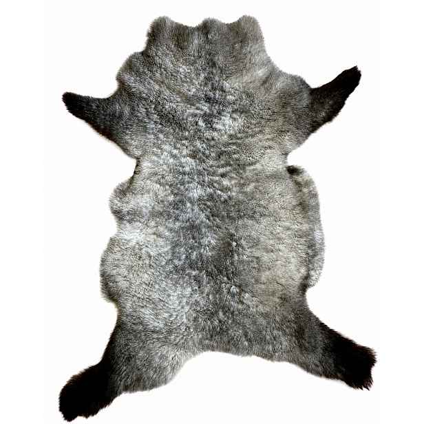 Ovčí kůže „kudrnatá“ – Popelavá – 110 cm/L (Velké jehněčí) 100% přírodní!