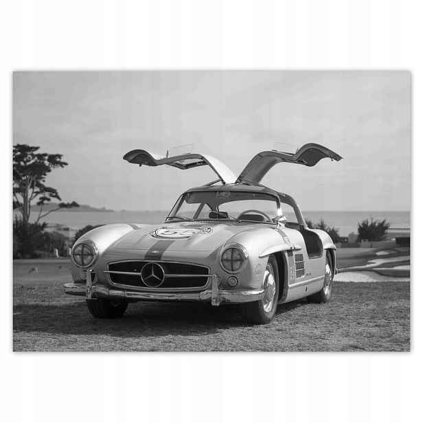 Fototapety flizelina 208x146 Mercedes Gullwing