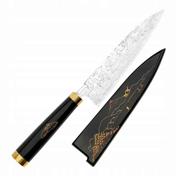 Takeshi Saji Art Fuji Unique Kuty R-2 Japonský Nůž šéfkuchaře 21 cm a Saya