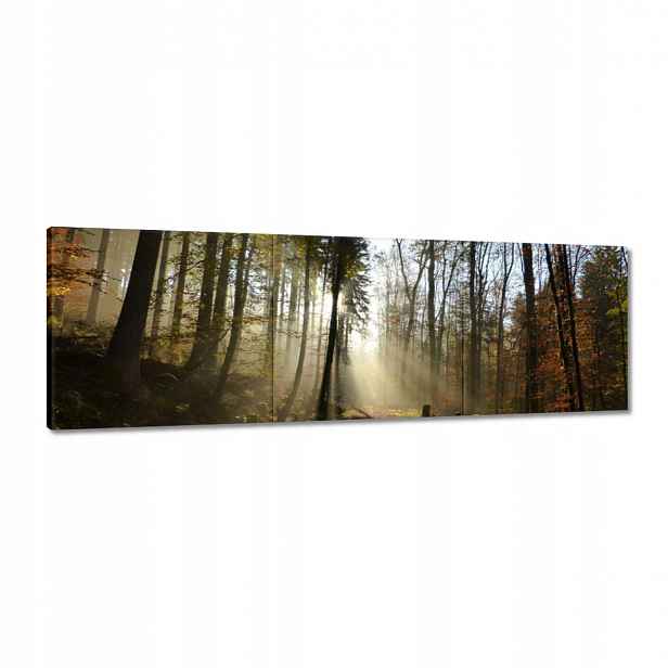 Obrazy 120x40 Východ slunce v lese
