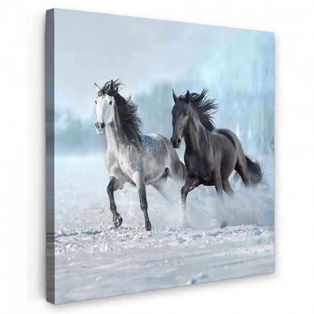 MuchoWow OBRAZ NA PLÁTNĚ Koně - Zima - Zvířata - Příroda - Sníh 20x20 cm