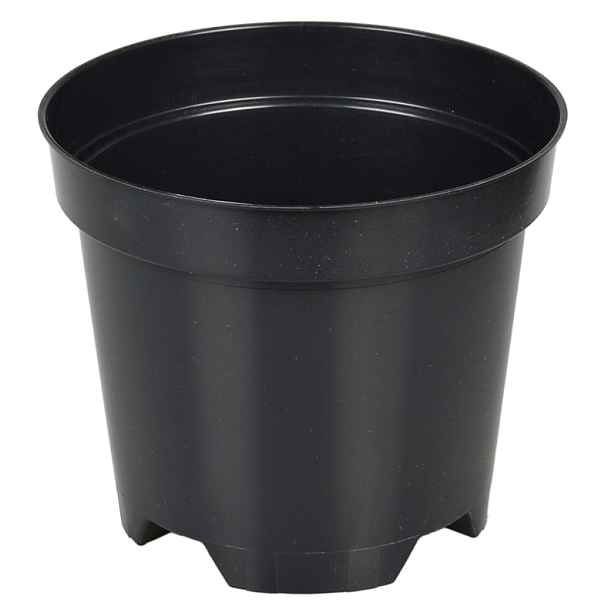 Květináč pro pěstování borůvek 16,5 × 14 cm 2 L 100 ks