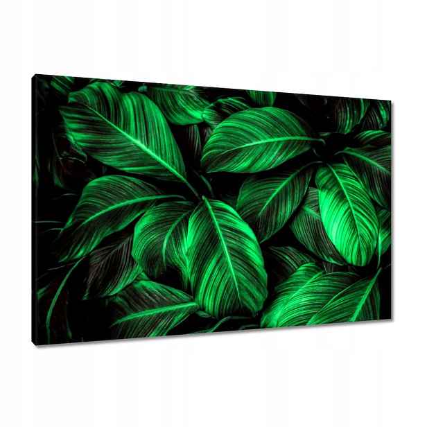 Obrazy 90x60 Zelené listy