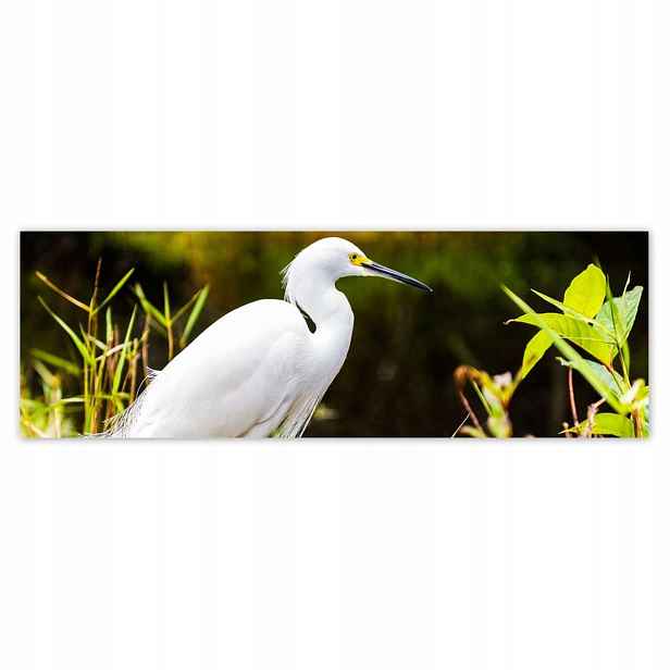 Plakáty 200x66 Čapla pták Krajina Pohled