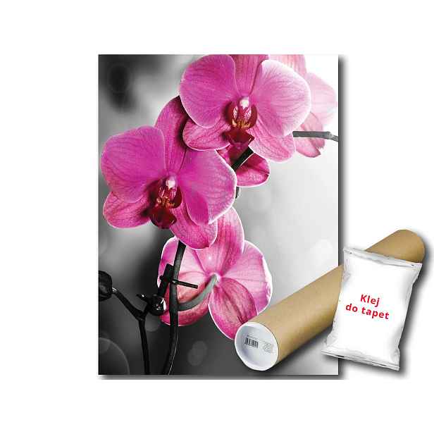 Fototapeta Růžové Orchideje 9D Panxl 206x275 F1034