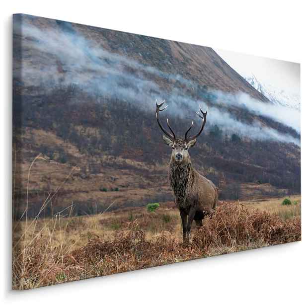 MyBestHome BOX Plátno Majestátní Jelen Na Pozadí Hor Varianta: 100x70