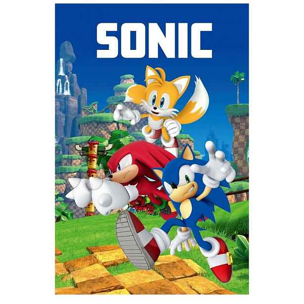 Fleecová dětská deka 100x150 cm Sonic – Jerry Fabrics