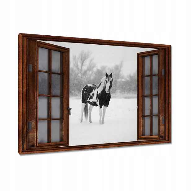 Obrazy 120x80 Kůň Černobílé plakáty