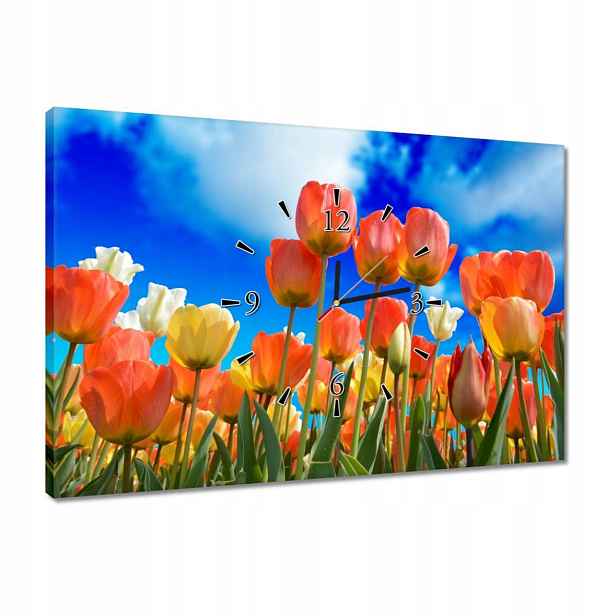 Hodiny 60x40 Barevné tulipány