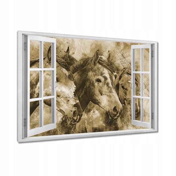 Obrazy 90x60 Hlavy koní