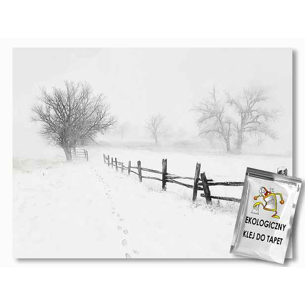 Fototapeta Flizelina Krajina Zima Sníh Mráz Závěje Mlha Stopa 312x219 130g