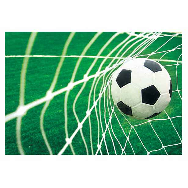 Fototapeta Mládež Fotbalová branka 254x184