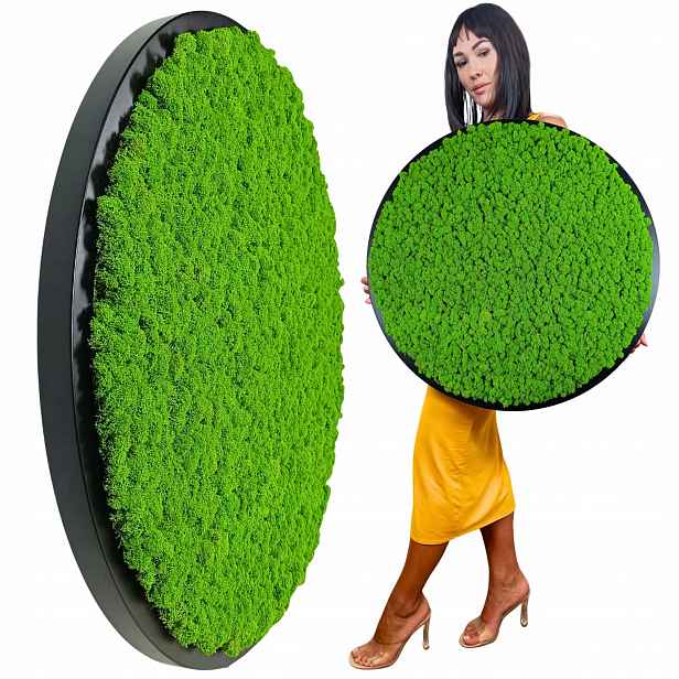 Obraz v dřevěném kulatém černém rámu S Mechem Chrobotkem, průměr 70 cm