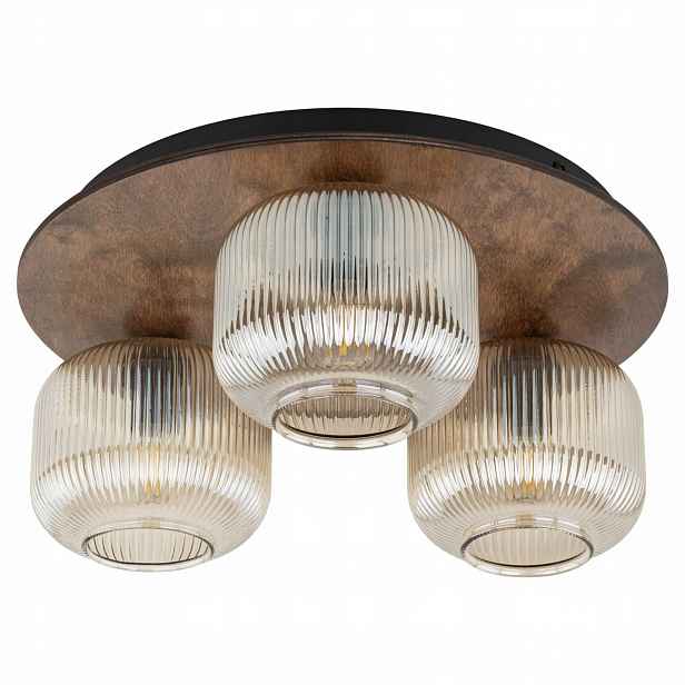 Stropní nástěnná lampa Stropní Svítidlo Salvia Hnědá 3 Zdroje E14 Tk Lighting