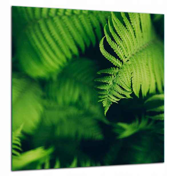 Skleněná Ochranná Deska Panel Lepidlo 60x65 Listy