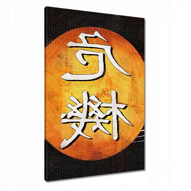 Obrazy 60x90 Japonské kolo